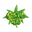 CanWe420
